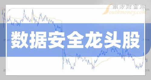 中國(guó)數(shù)據(jù)安全龍頭股名單 聚焦網(wǎng)絡(luò)與信息安全軟件開(kāi)發(fā)企業(yè)